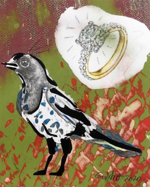 Magpie and Ring