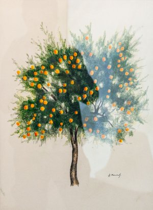 Orange tree, 2020.