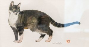 «Кошка», 2018.
