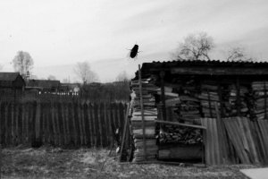 Старая Утка. Cерия фотографий. 2013