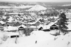 36 видов. серия фотографий, 2012-2015