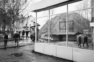 36 видов. серия фотографий, 2012-2015