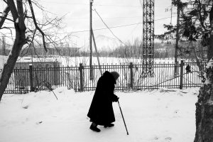 36 видов. серия фотографий, 2012-2015