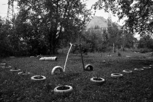 36 видов. серия фотографий, 2012-2015