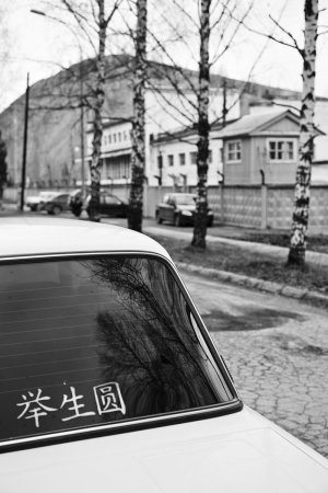 36 видов. серия фотографий, 2012-2015
