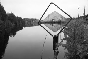 36 видов. серия фотографий, 2012-2015