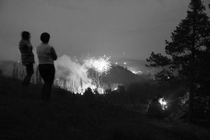 36 видов. серия фотографий, 2012-2015