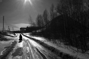 36 видов. серия фотографий, 2012-2015