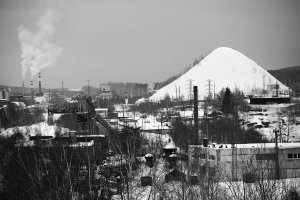 36 видов. серия фотографий, 2012-2015