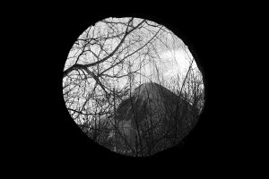 36 видов. серия фотографий, 2012-2015