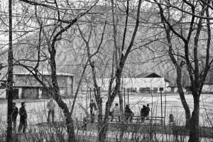 36 видов. серия фотографий, 2012-2015