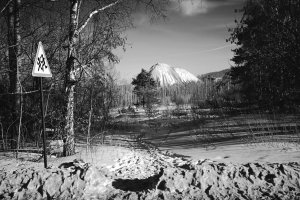 36 видов. серия фотографий, 2012-2015