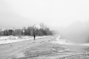 36 видов. серия фотографий, 2012-2015