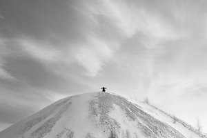 36 видов. серия фотографий, 2012-2015
