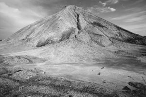 36 видов. серия фотографий, 2012-2015