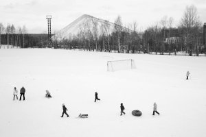 36 видов. серия фотографий, 2012-2015