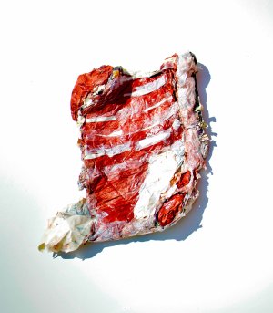 Meat Series. #2 (inspired by Francisco Goya), 2019