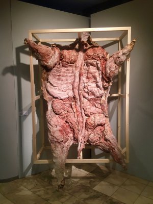 Серия «Мясо». #4 (по мотивам Рембрандта), 2015