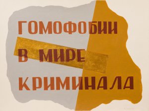 Гомофобии в мире криминала, 2012